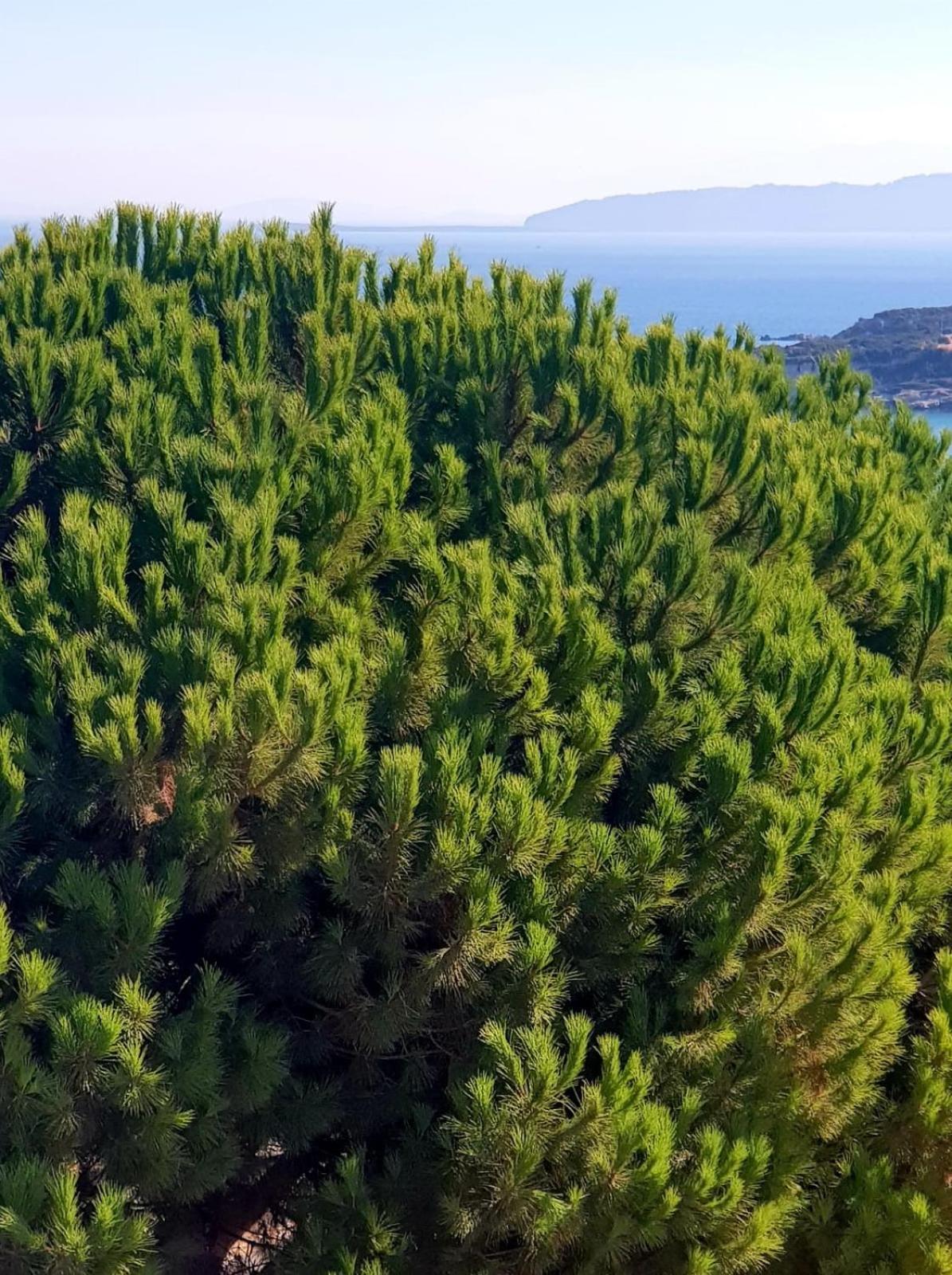 North Wind Hotels - Karaburun Karaburun  Eksteriør bilde